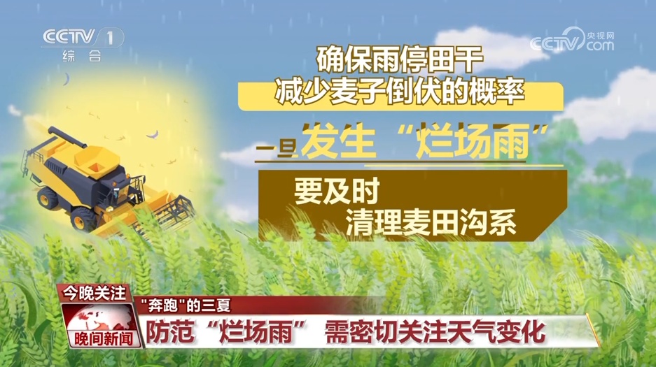 降雨天气对夏收有何影响?该如何防范?一文了解 降雨天气对夏收有何影响?该如何防范?一文了解