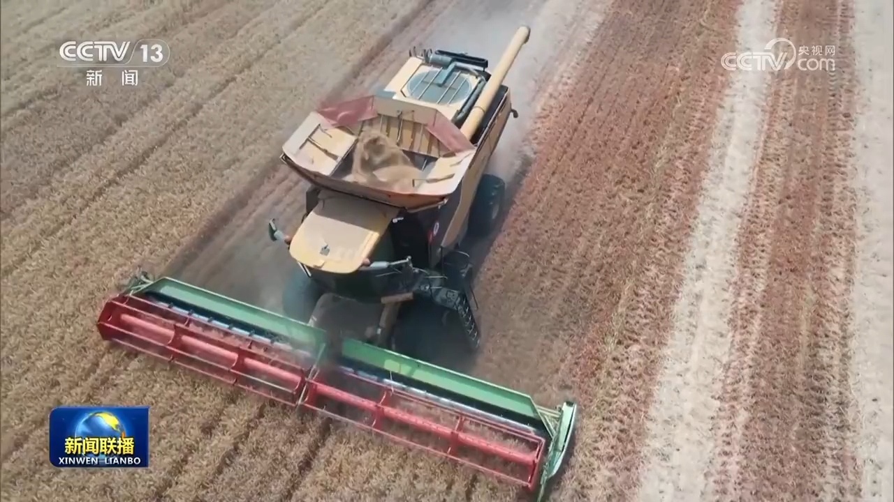 【在希望的田野上·三夏时节】西南麦区麦收过八成 黄淮海麦区开镰