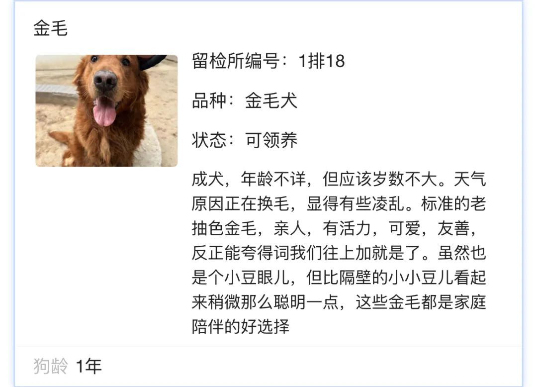 北京公安狗狗领养文案“火出圈”!心动之后,如何行动?我们打听了—— 北京公安狗狗领养文案“火出圈”!心动之后,如何行动?我们打听了——