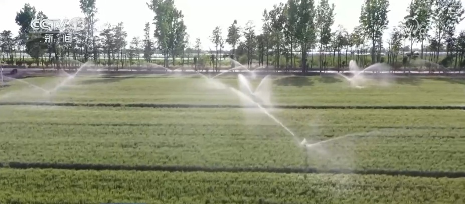 大中型灌区发挥抗旱保灌主力军作用 为保障夏粮丰收提供水利支撑