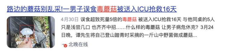 不要捡!不要吃!这种有剧毒!最近杭州路边大量出现蘑菇…… 不要捡!不要吃!这种有剧毒!最近杭州路边大量出现蘑菇……