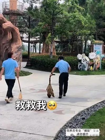 一家12口集体出逃,目前"匹诺曹"仍在逃!悬赏公告 一家12口集体出逃,目前"匹诺曹"仍在逃!悬赏公告