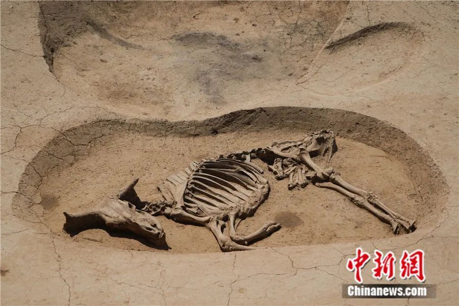 琉璃河遗址何以实证北京三千年建城史？