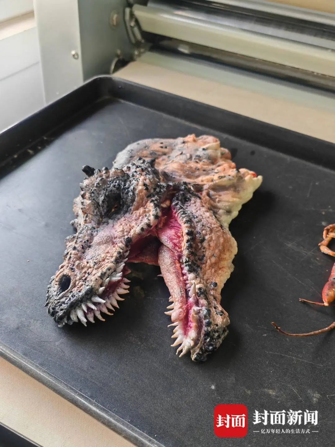 神还原！小伙做的面包太逼真，这个恐龙头你敢下嘴吗？