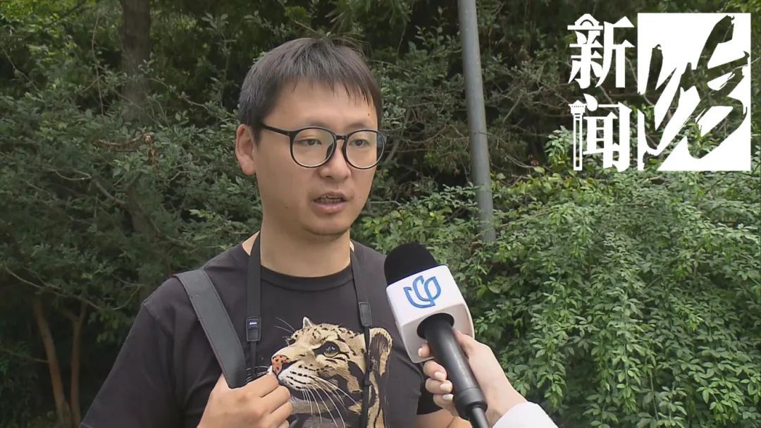 上海市中心也有了？引发担忧！此前多区已发现，千万别碰！远离！让官方动手