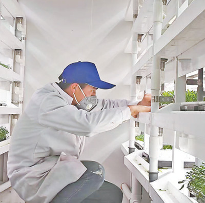 打造“库车样板”,推进乡村全面振兴 打造“库车样板”,推进乡村全面振兴