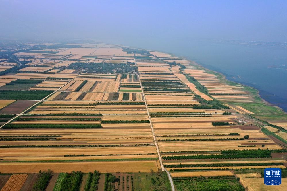 飞阅中国丨金色田野 麦田如画