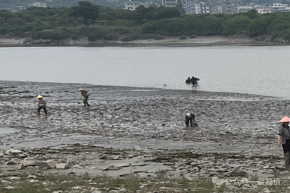 不少人到福州这里挖蛏！紧急提醒：危险！