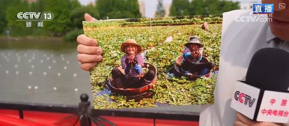 迎端午，氛围感拉满！“织”粽子“编”艾叶 文化传承活在当下、留在生活里