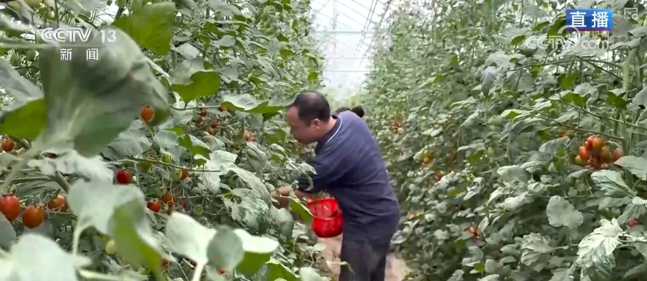 “智慧农业”点亮农旅融合发展 江上“菜篮子”将“流量”变“增量” “智慧农业”点亮农旅融合发展 江上“菜篮子”将“流量”变“增量”