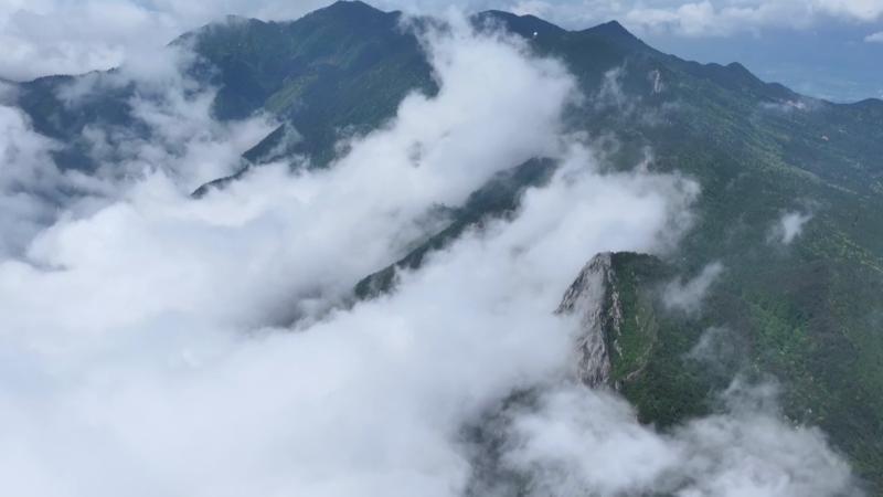 江西九江：庐山含鄱口现壮阔云海