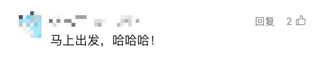价格大跳水,低至200元!武汉人赶紧安排 价格大跳水,低至200元!武汉人赶紧安排
