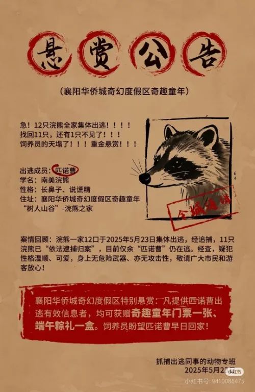 12只浣熊集体出逃!景区发布悬赏公告 12只浣熊集体出逃!景区发布悬赏公告