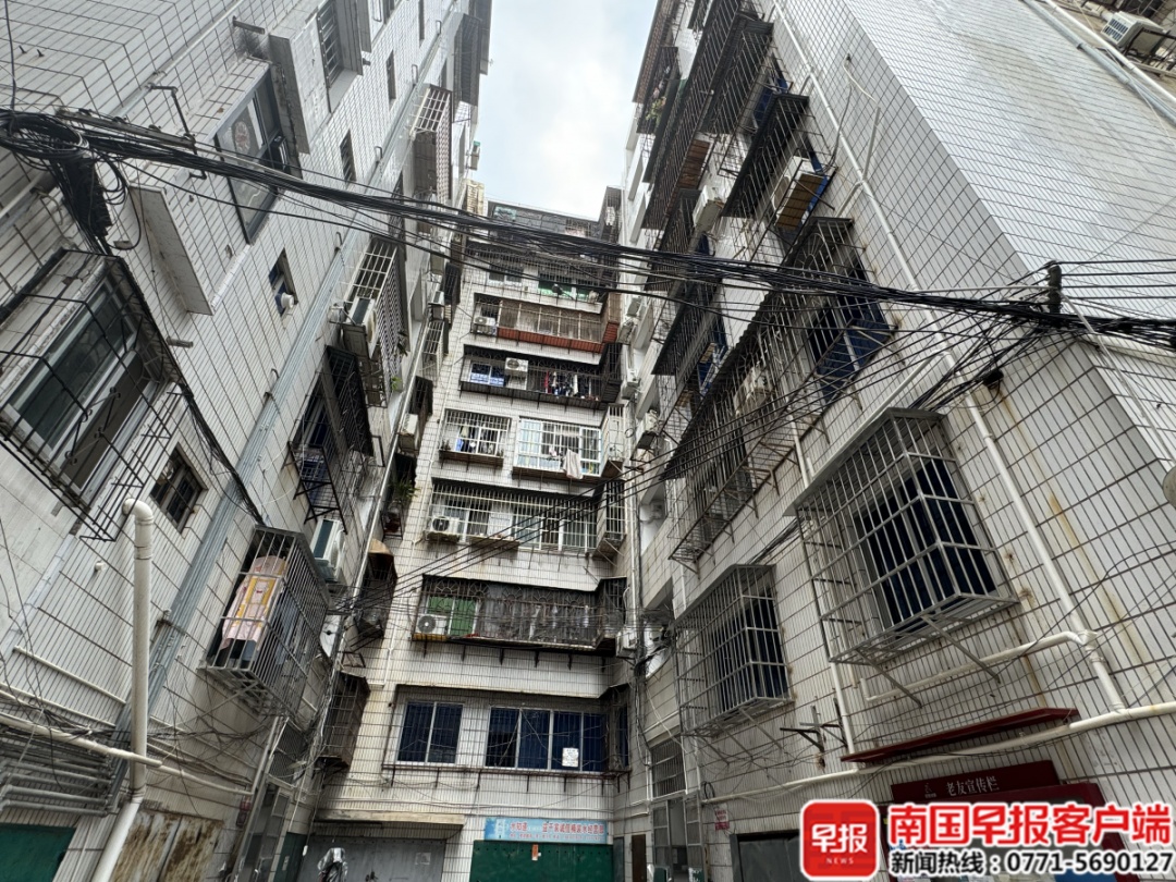 南宁一小区多人被跳蚤叮咬！一名养猫业主写了道歉信