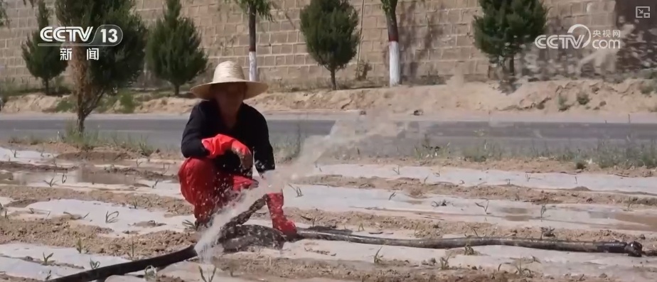 大中型灌区发挥抗旱保灌主力军作用 为保障夏粮丰收提供水利支撑