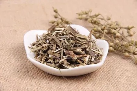 夏天到了,这种神奇叶子该吃了! 夏天到了,这种神奇叶子该吃了!