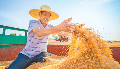 全国冬小麦陆续开镰,春播粮食过八成 全国冬小麦陆续开镰,春播粮食过八成