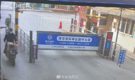 身价50万信鸽被盯上 警方抓获偷鸽贼