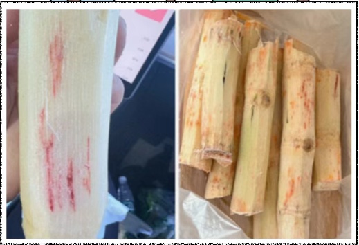 街头经常出现，很多人爱喝！网友：刚买过，看完不敢喝了！