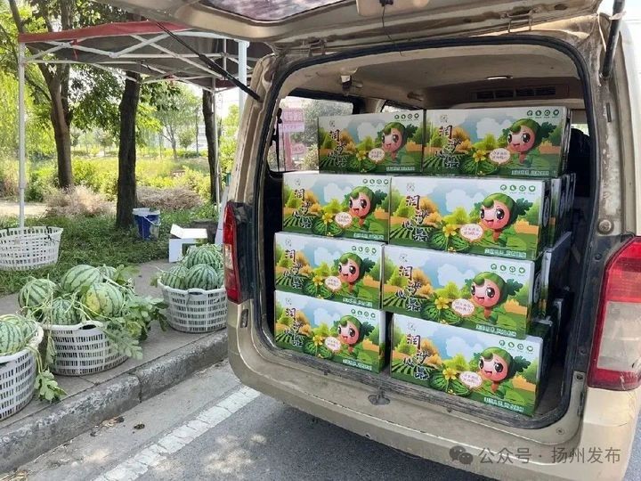 “梦中情瓜”,上市啦! “梦中情瓜”,上市啦!