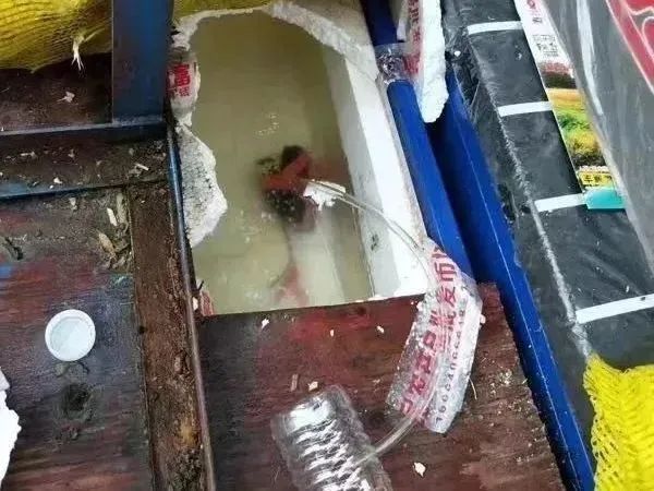 太恶心,看完不敢喝了!街头经常出现! 太恶心,看完不敢喝了!街头经常出现!