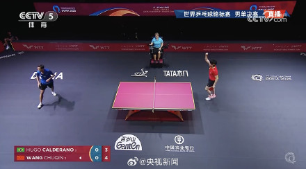 转发祝贺！王楚钦男单夺冠