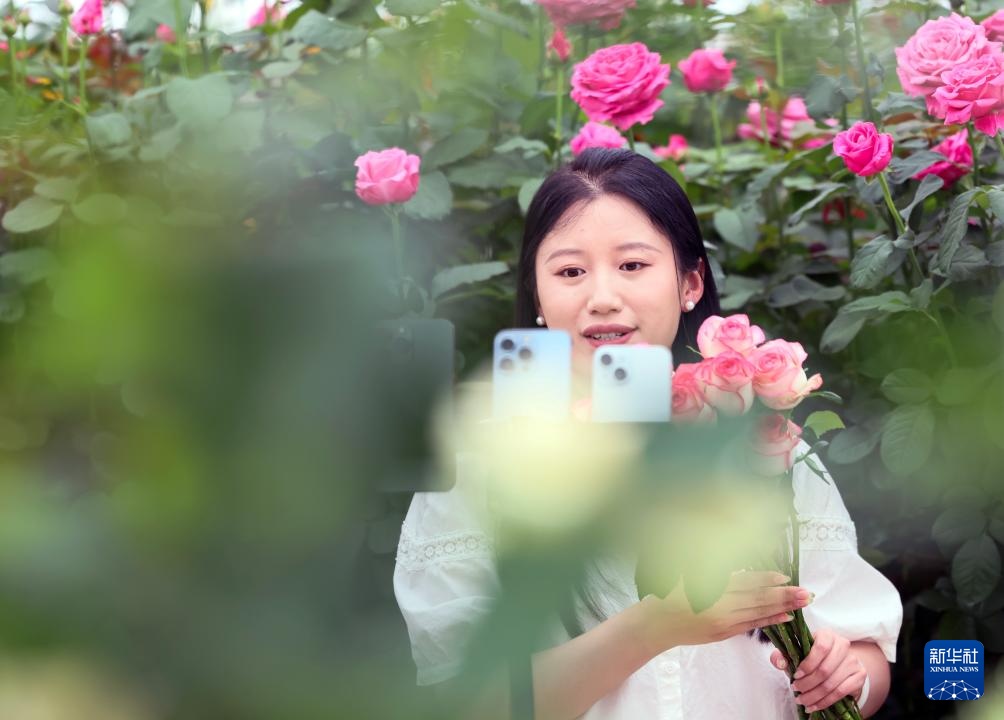 山东莒县:发展鲜切花产业 点亮“美丽经济” 山东莒县:发展鲜切花产业 点亮“美丽经济”