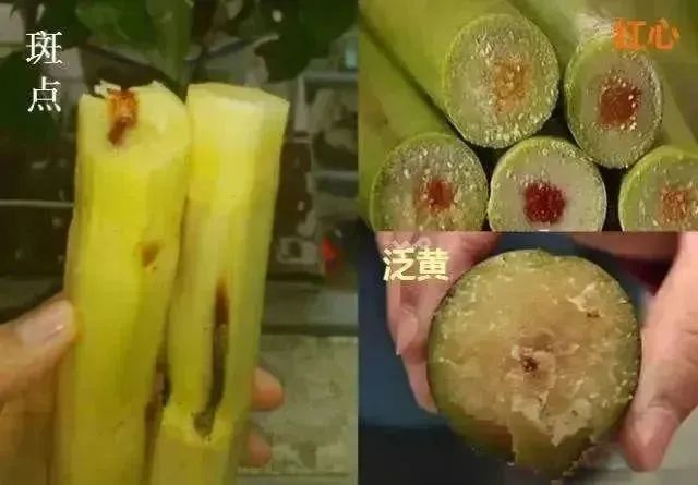 太恶心,看完不敢喝了!街头经常出现! 太恶心,看完不敢喝了!街头经常出现!