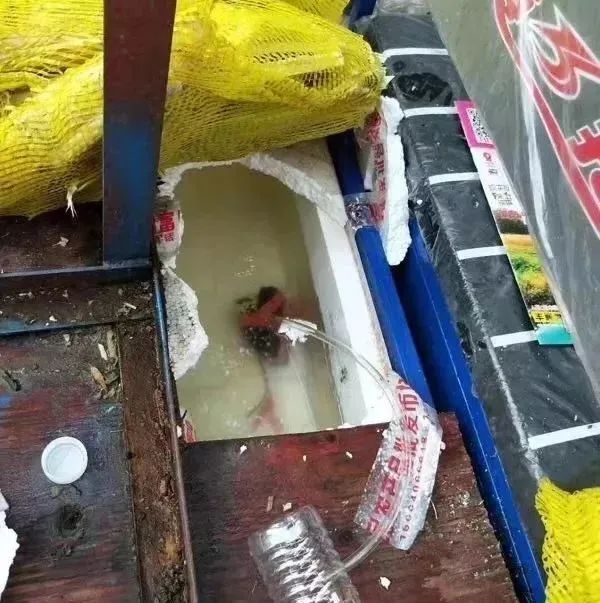 看完真的不敢买！夏天街头常见，很多人都爱……