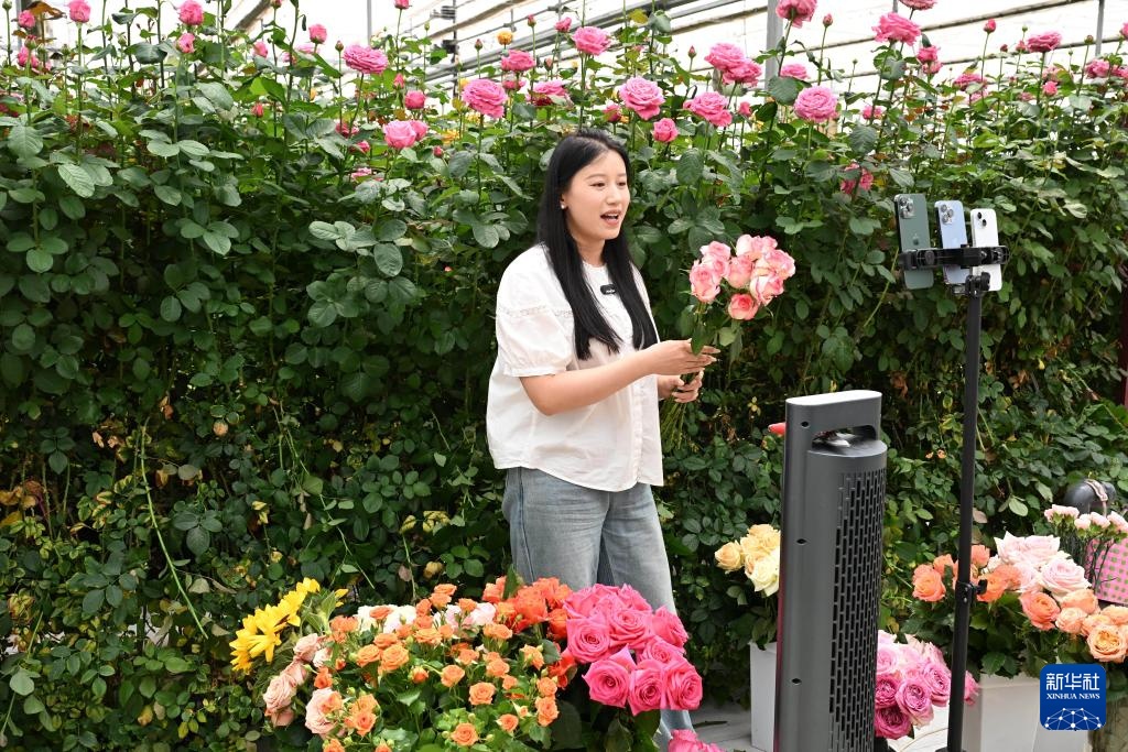 山东莒县:发展鲜切花产业 点亮“美丽经济” 山东莒县:发展鲜切花产业 点亮“美丽经济”