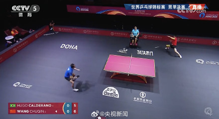 转发祝贺！王楚钦男单夺冠