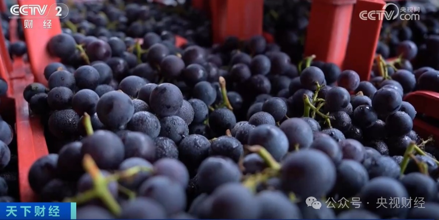 降价了!水果里的顶“榴”,大量上市!价格低至→ 降价了!水果里的顶“榴”,大量上市!价格低至→