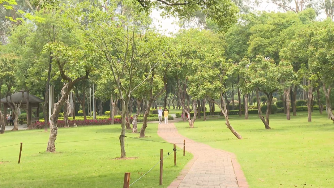 公园惊现两条大蛇缠斗！系无毒滑鼠蛇在抢地盘！蛇类活动高发期，这些要注意！