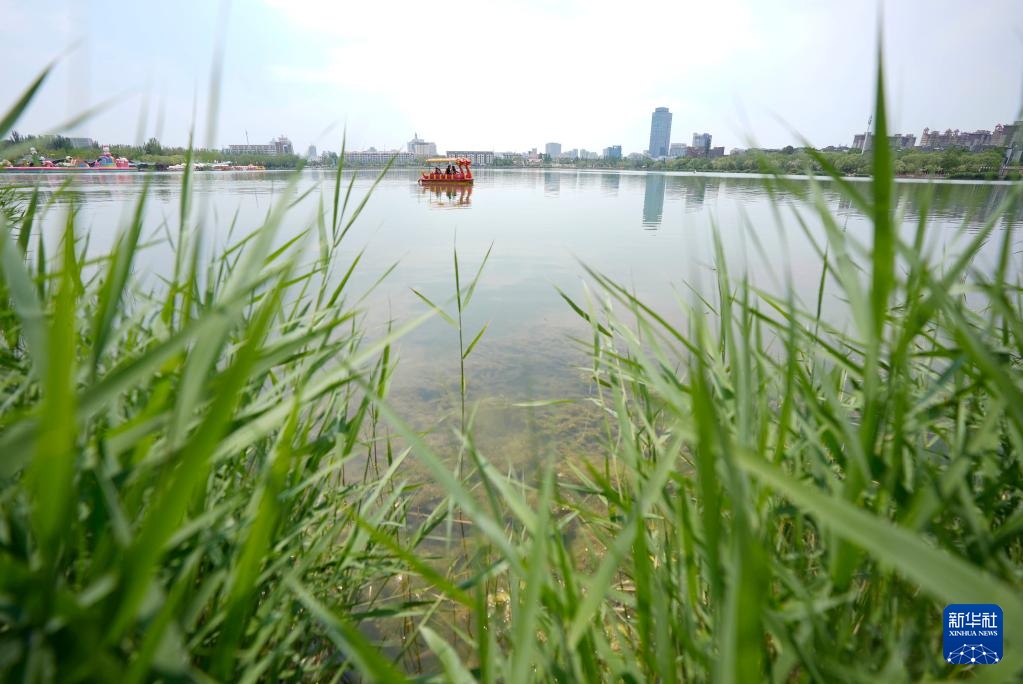银川:夏日“塞上湖城”美如画 银川:夏日“塞上湖城”美如画