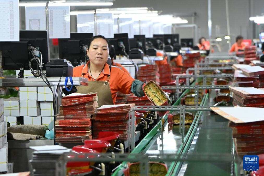 山东莒县:发展鲜切花产业 点亮“美丽经济” 山东莒县:发展鲜切花产业 点亮“美丽经济”