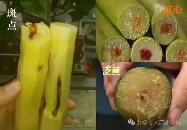 太恶心!爱喝街头鲜榨果汁的要注意了…… 太恶心!爱喝街头鲜榨果汁的要注意了……