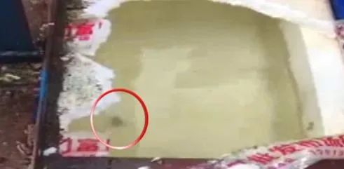 街头经常出现，很多人爱喝！网友：刚买过，看完不敢喝了！