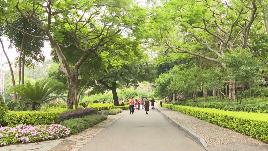 公园惊现两条大蛇缠斗！系无毒滑鼠蛇在抢地盘！蛇类活动高发期，这些要注意！