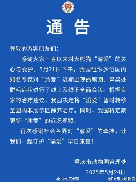 重庆动物园回应渝爱近期症状:转移至非展示区静养治疗 重庆动物园回应渝爱近期症状:转移至非展示区静养治疗