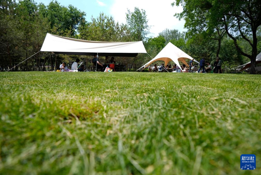 银川:夏日“塞上湖城”美如画 银川:夏日“塞上湖城”美如画