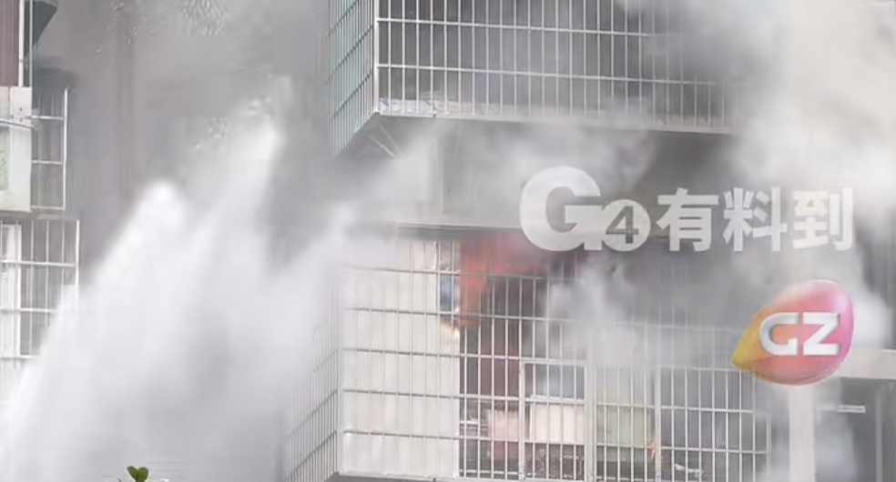 广州一居民楼起火!屋内活鸡险变“烧鸡” 广州一居民楼起火!屋内活鸡险变“烧鸡”