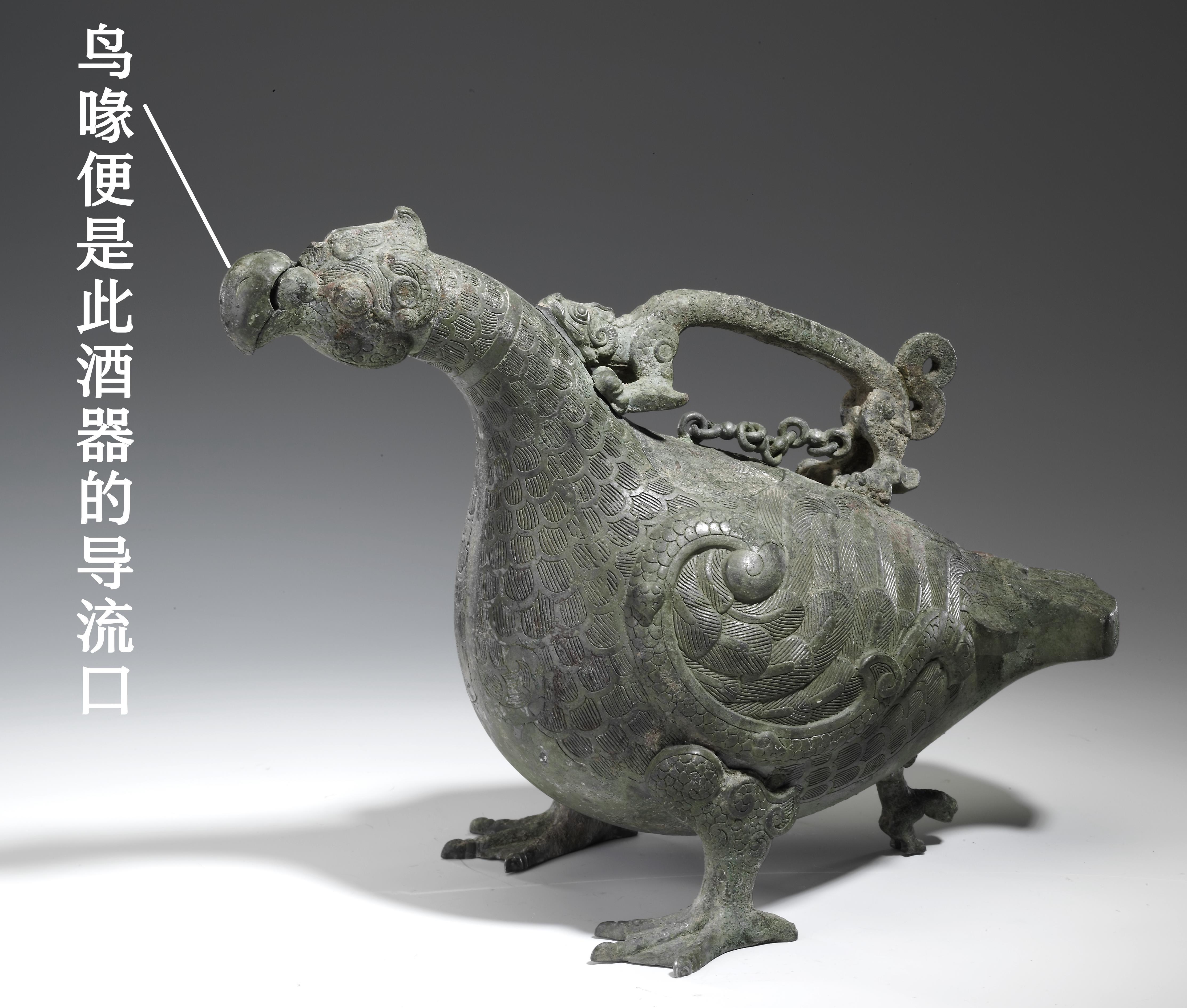 2000多年前,有一只长着鸭脚蹼的鸟 2000多年前,有一只长着鸭脚蹼的鸟