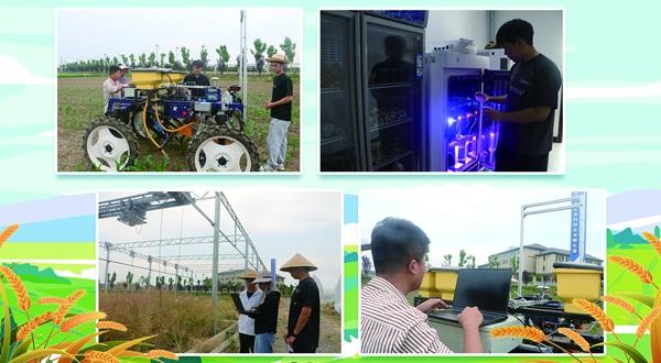 大学生投身天地间 “农工结合”的劳动实践啥样 大学生投身天地间 “农工结合”的劳动实践啥样