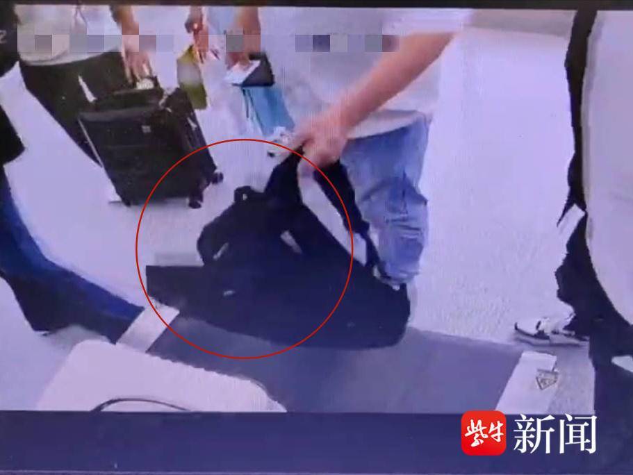 会“跑”的项链失踪了 会“跑”的项链失踪了