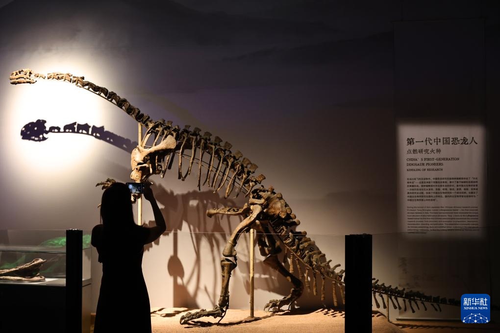 中国恐龙大展在上海开幕 中国恐龙大展在上海开幕