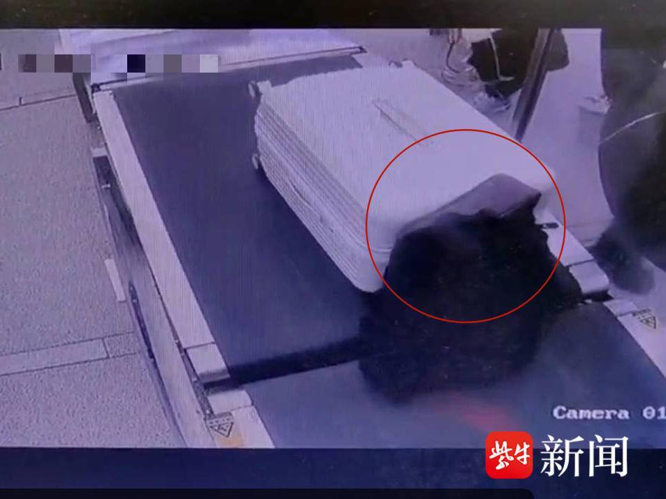 会“跑”的项链失踪了 会“跑”的项链失踪了