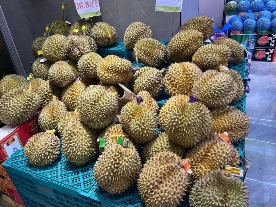 价格大幅下降!榴莲大量上市,预计还要降 价格大幅下降!榴莲大量上市,预计还要降