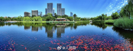 一起打卡！运河上的通州有多美