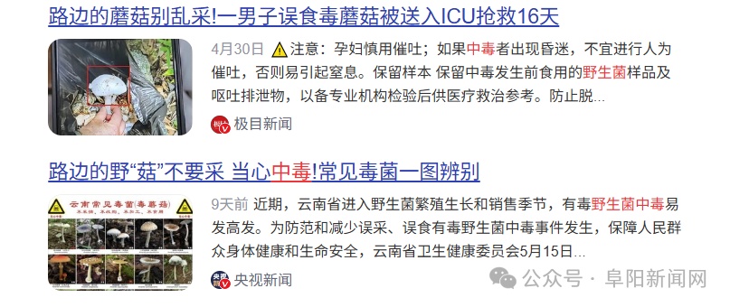 雨后大量出现!不要捡,不要吃! 雨后大量出现!不要捡,不要吃!