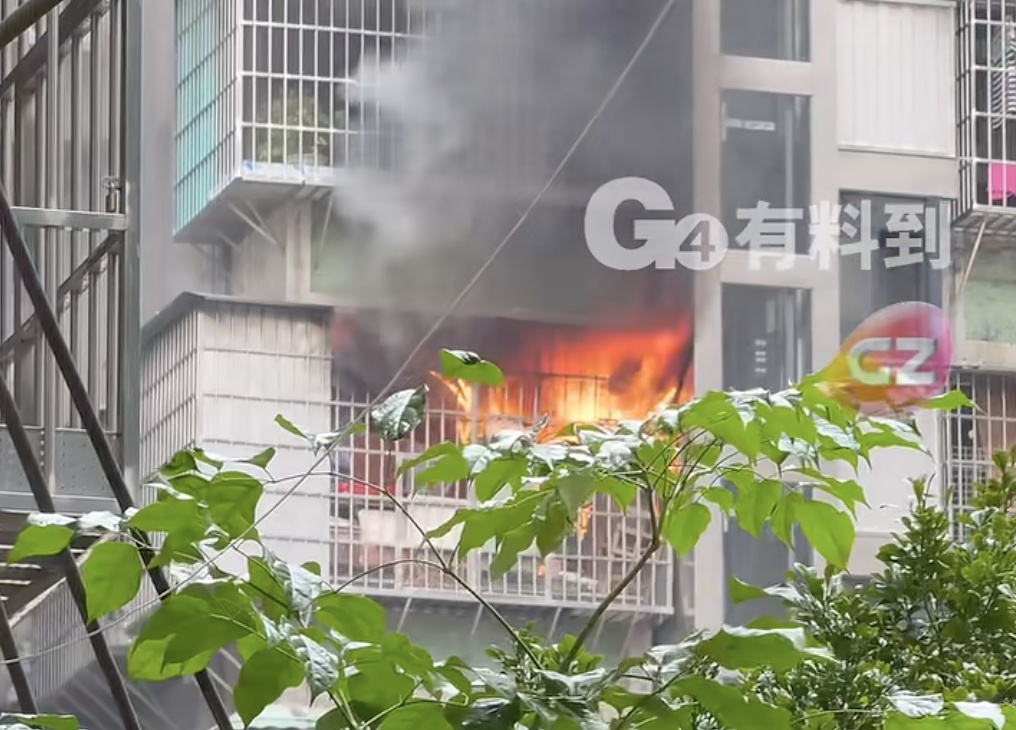 广州一居民楼起火!屋内活鸡险变“烧鸡” 广州一居民楼起火!屋内活鸡险变“烧鸡”